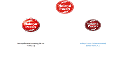 Desktop Screenshot of malatyapazari.com.tr